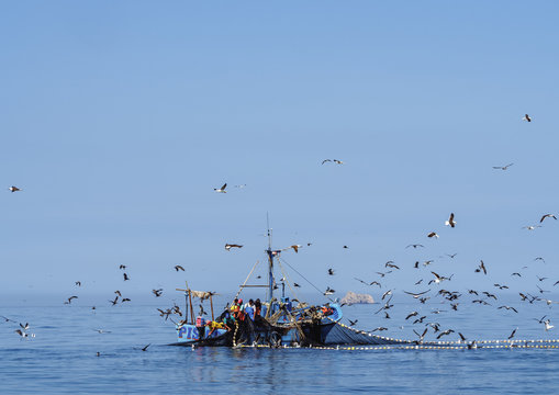 Fishing Boat near Paracas, Ica Region, Peru