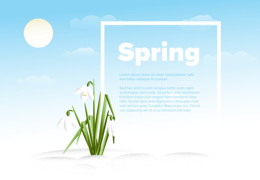 Spring Flowers Digital Card Layout