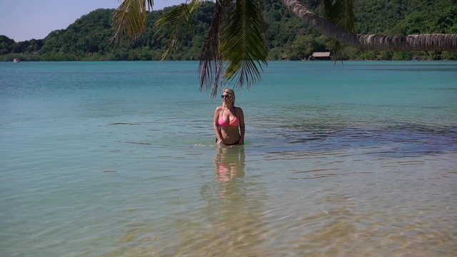 Young woman in pink bikini at the beach walking near palm