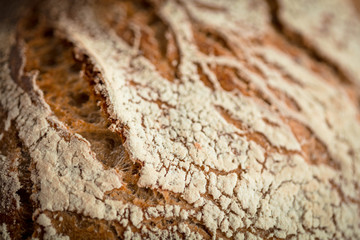 Artisan Bread