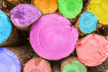 Gefällte Baumstämme - Bemalt und Gestapelt, wartend zur Abholung durch die Holzindustrie