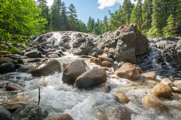 Englishman River Falls Provincial Park in Vancouver Island