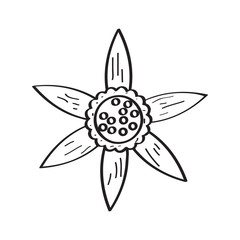 Drawing of a flower