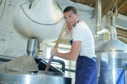 brewery worker working with beer malt