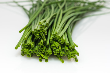 schnittlauch auf weißem untergrund chives on a white background