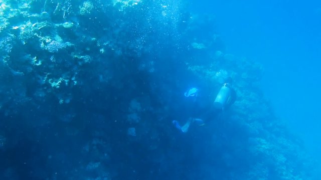 Diver swims near coral reef with fish in Red sea