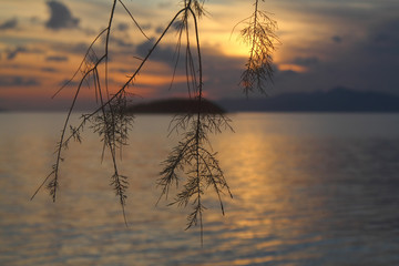 Fototapeta premium A small seaside town Turgutreis 