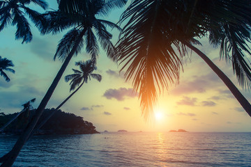 Fototapeta na wymiar Tropical sea beach during sunset, with silhouettes of palm leaves.