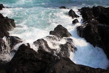 제주도의 아름다운 풍경 / 한국의 풍경 사진
