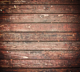 Fototapeta premium beautiful and colorful wood duck in a natural setting environment