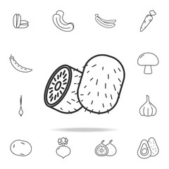 kiwi fruit icon. Set of fruits and vegetables icon. Premium quality graphic design. Signs, outline symbols collection, simple thin line icon for websites, web design, mobile app