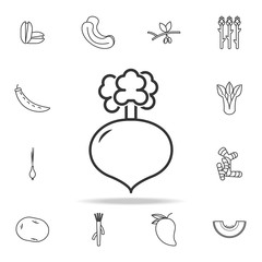 Radish icon. Set of fruits and vegetables icon. Premium quality graphic design. Signs, outline symbols collection, simple thin line icon for websites, web design, mobile app