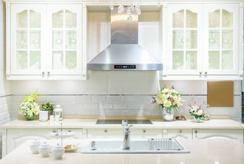 Modern, bright, clean kitchen interior with stainless steel appliances in a luxury apartment.