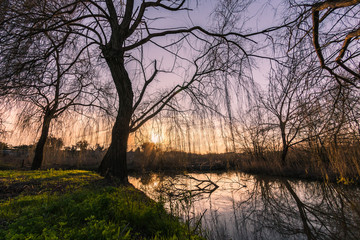 Pateira de Fermentelos