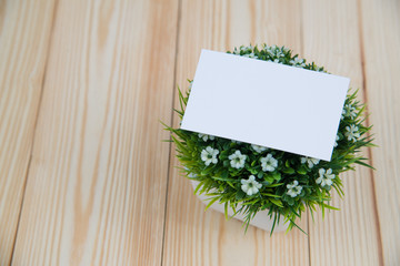 Blank business cards and little decorative tree in white vase on wooden working table with copy space for add text ID. and logo, business company concept.