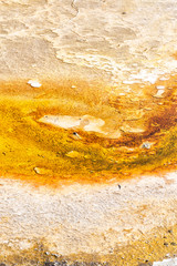   in  ethiopia africa  the volcanic  lake closeup