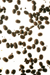 Numerous coffee beans spread out randomly on white studio background