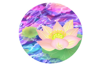 蓮の花の浮かぶ池