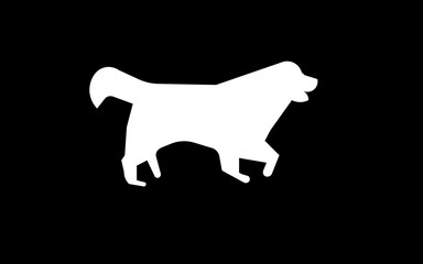 white bernese mountain dog silhouette on black background