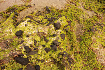 Beautiful Scenery of Jeju Island / Scenery Picture of Jeju Island, Korea
