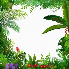 Fototapeta na wymiar Tropical jungle on white background 