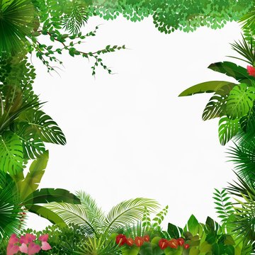 Tropical jungle on white background 
