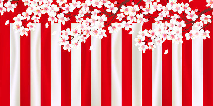 桜　春　花　背景