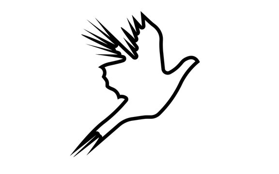 recommend clip art: flying pheasant silhouette outline on white background