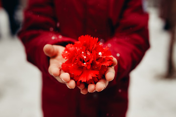 Child is holding a red carnation. Concept day of victory, requiem, memory, death, sorrow.