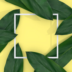 Green leaf with frame paper on yellow pastel background. 