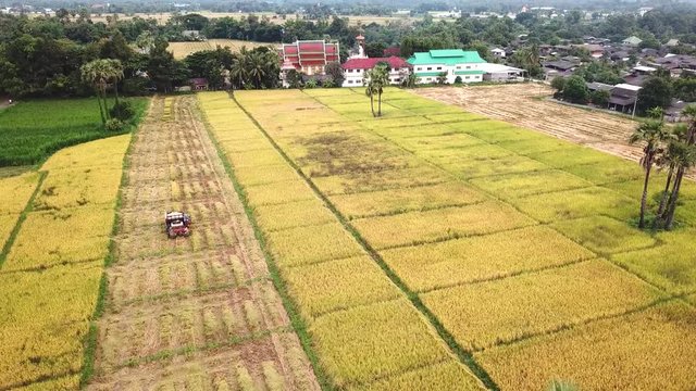 Aerial View Harvester Machine Harvesting Rice In Farmland 4K Motion