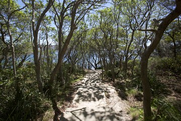 Manly Beach and Shelly Beach are two of the most popular beaches in Sydney NSW Australia. A perfect sunny day at the northern beaches including wildlife, rock pools, coastal walks and more.