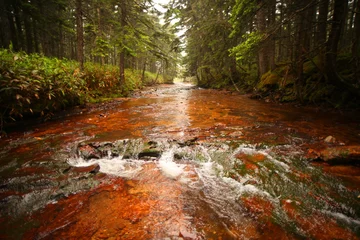 Fototapete Rund mountain red river and forest © Konstantin