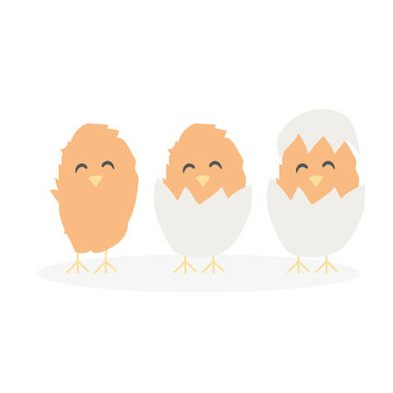 Cartoon cute Easter baby chikens hatched from egg isolated on white background