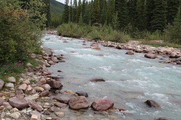 Pobokton Creek, Jasper National Park, Alberta