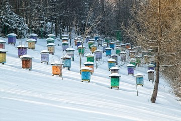 Beehives in snow.