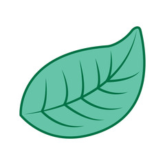 natural foliage leaf botanical icon vector illustration pink and green design