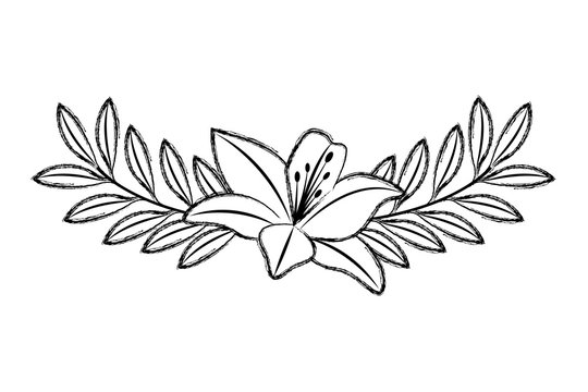 cute flower lily and branch with leaves foliage decoration vector illustration sketch image