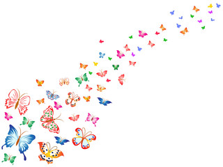 colorful butterflies background