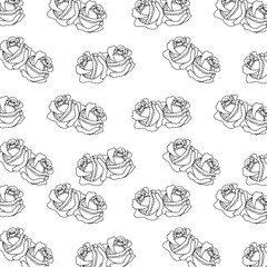 roses flower decoration ornament pattern vector illustration