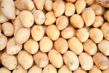 fresh mango background on the market.Asian fruits.Thailand