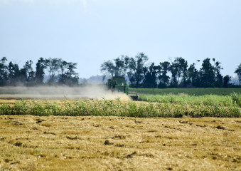 Fototapeta premium Combine harvesters Agricultural machinery. The machine for harvesting grain crops.