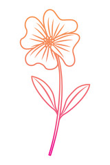 cute flower periwinkle petals leaves stem icon vector illustration degrade color line image