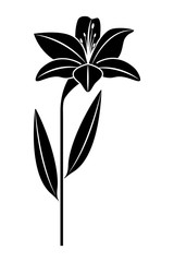 flower lily natural leaves plant decoration vector illustration black image