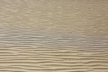 Fototapeta na wymiar texture desert land sand dunes barkhans, deserts