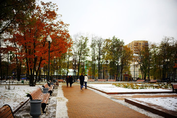 Obraz premium bench in a cold winter park snow