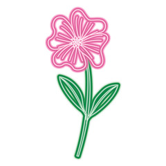 cute flower periwinkle petals leaves stem icon vector illustration neon pink and green line image