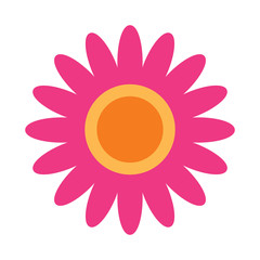 pink flower decoration ornament natural vector illustration