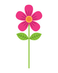 pink flower stem petals decoration vector illustration