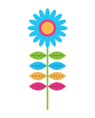 colored flower stem petals decoration vector illustration